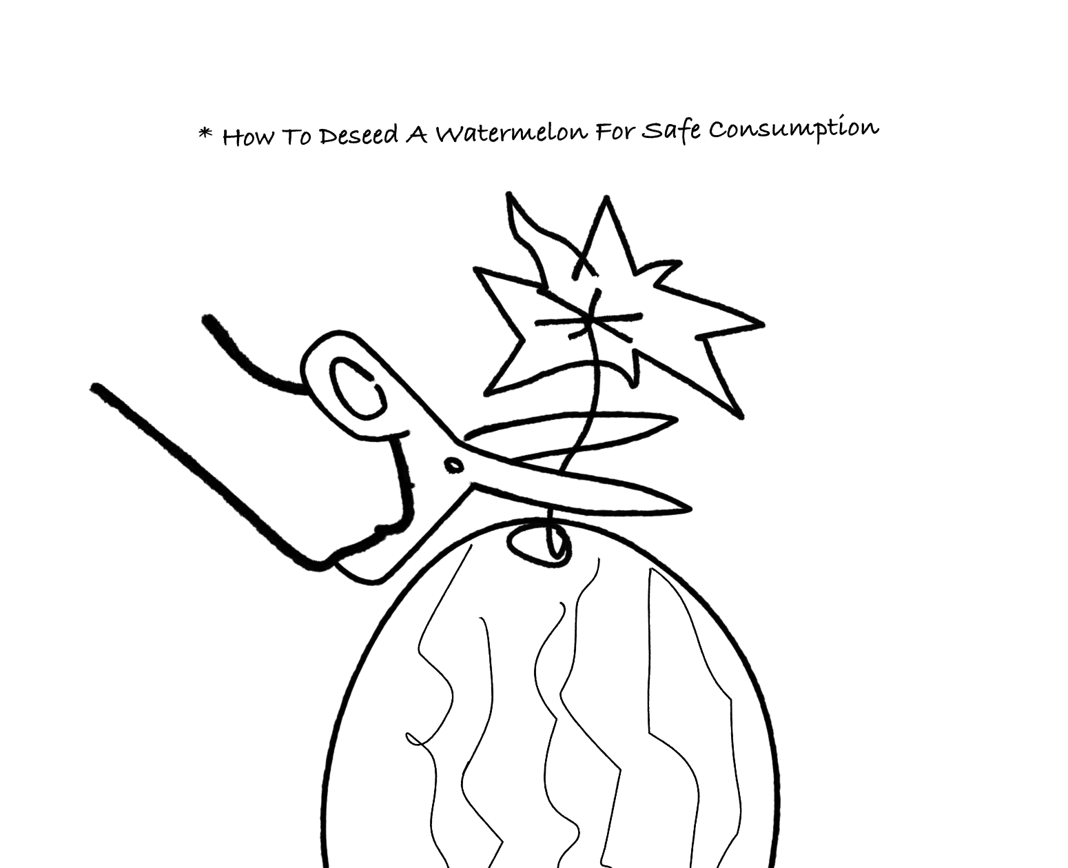 * How To Deseed A Watermelon For Safe Consumption — drawing
